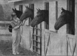 wildestexpectationsfarm.com Dobersztyn