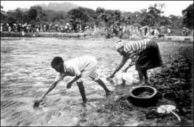 ourplanet.com Dobriansky