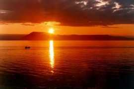 nilli.blog.is Doddu