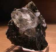 trinityminerals.com Dodf