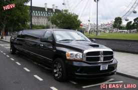 Dodgeram