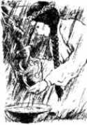Dodla