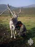 tuva.asia Doenie