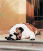 carolinaarts.com Dogart