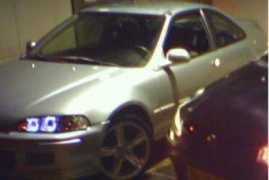 cars-xtreme.nl Doggod