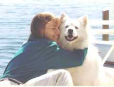 robertarussell.com Dogini