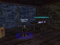 everquest.allakhazam.com Dogle