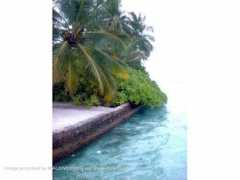 travel.ciao.co.uk Dohare