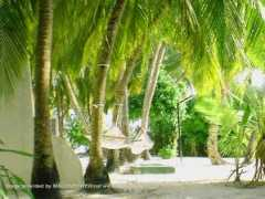 travel.ciao.co.uk Dohare