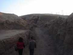 panoramio.com Dohoon