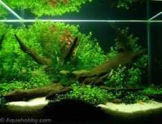 aquahobby.com Doim
