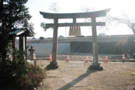 tanuki-bayashi.com Dokoe