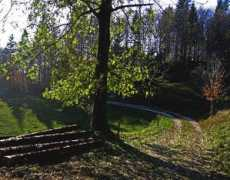 Dolge
