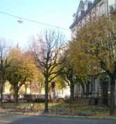 lutecium.fr Dolisi