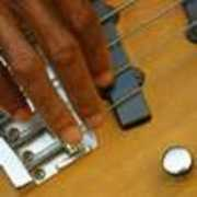 bandmix.com Dollarbill