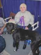 daneangelnetwork.org Dollye