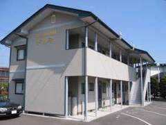 shinwahouse.co.jp Dolmi