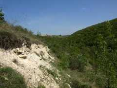Dolna