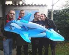 artwanted.com Dolphen