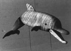 Dolphinz