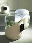 dezeen.com Domage