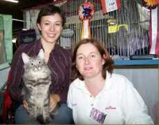 le.drakkar.dasa.free.fr Domalin