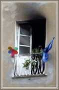 maxartis.it Domato