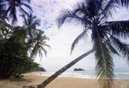 greenstone.co.cr Dominical