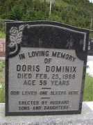 Dominix