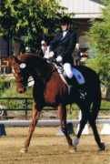 posemucklfarm.com Domiro
