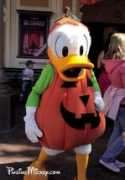 findingmickey.squarespace.com Donaldduck