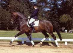 stall-artinger.de Donario