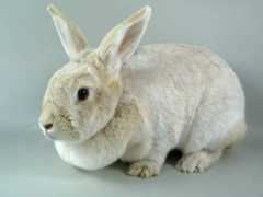 saveabunny.org Donatella