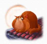 caxigalines.net Dongato