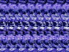 liuhs.com Dongkai