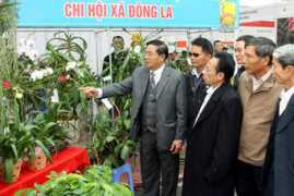 hanoimoi.com.vn Dongla