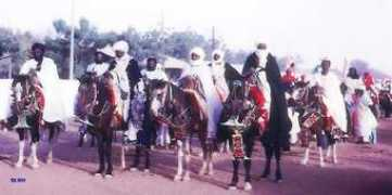 horsehints.org Dongola