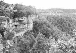 rootsweb.ancestry.com Donhardt