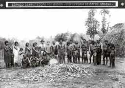 pib.socioambiental.org Donisete