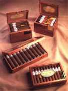 Donlino