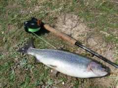 gleninnes.com Donmore