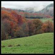 map-france.com Donnadille