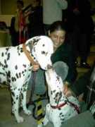 lotsofspots.dk Donnatello