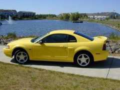 mustangworld.com Donnies