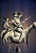 de.toonpool.com Donquichotte