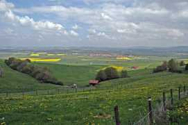 kachold.de Dontal