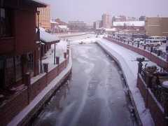 Donuk