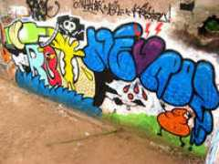 ekosystem.org Donvez