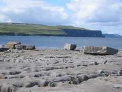 vareen.com Doolin