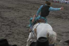 mountainhomenews.com Dopps